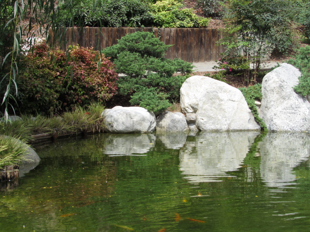 Japanese Friendship Garden Amazing Travels